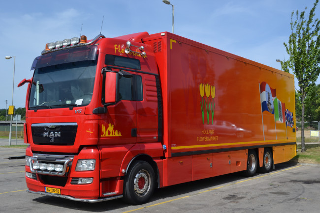 Обои картинки фото man tgx, автомобили, man, двигатели, германия, se, грузовые, автобусы