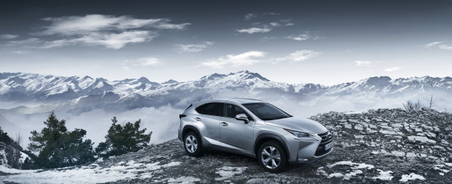 Обои картинки фото автомобили, lexus, серый, 2014г, eu-spec, 200t, nx