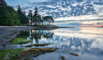 Картинка природа реки озера лес река