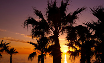 Картинка природа восходы закаты рассвет