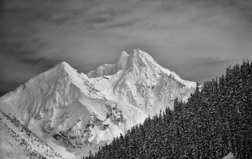 Картинка природа горы лес гора