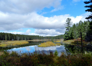 Картинка природа реки озера деревья вода