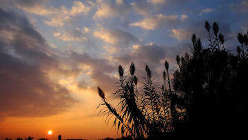 Картинка природа восходы закаты рассвет