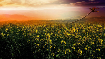 Картинка природа восходы закаты рассвет