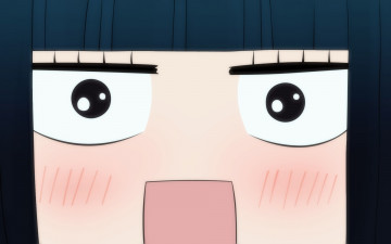 Картинка аниме kimi+ni+todoke девушка