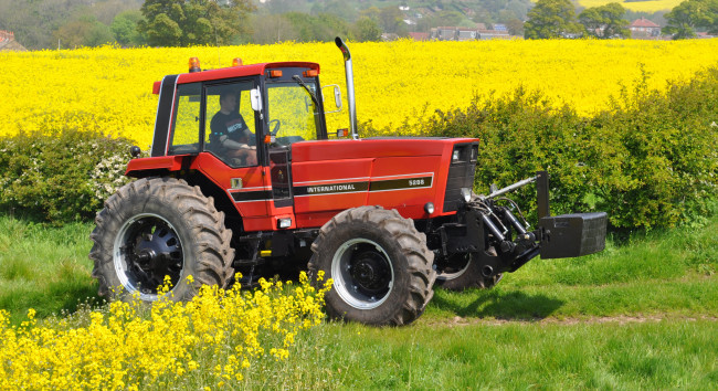 Обои картинки фото техника, тракторы, international