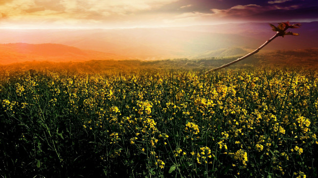 Обои картинки фото природа, восходы, закаты, рассвет