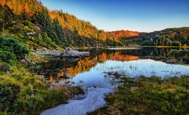 Обои картинки фото природа, реки, озера, река, лес