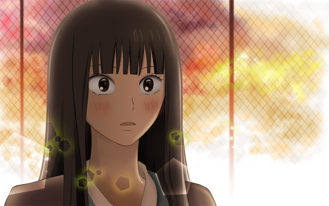 Обои картинки фото аниме, kimi ni todoke, девушка