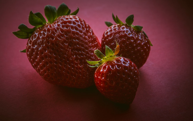 Обои картинки фото еда, клубника,  земляника, ягоды