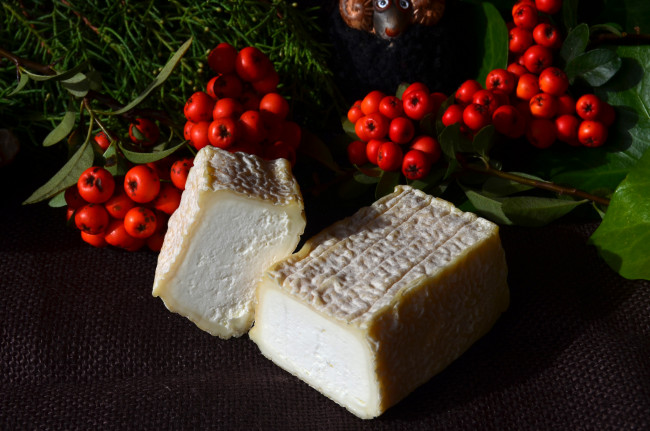 Обои картинки фото еда, сырные изделия, сыр