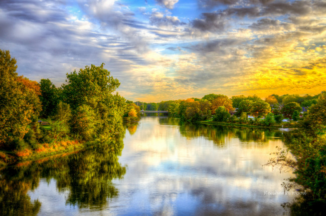 Обои картинки фото природа, реки, озера, река, лес