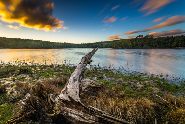 Обои картинки фото природа, реки, озера, река, лес