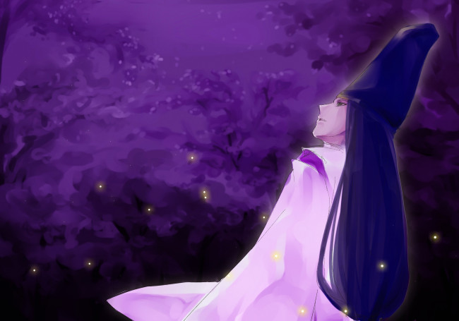 Обои картинки фото аниме, hikaru no go, сай