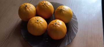 обоя еда, цитрусы, мандарины