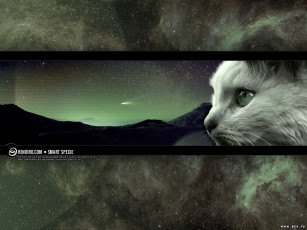 Картинка разное