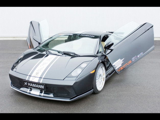 Обои картинки фото 2006, hamann, lamborghini, gallardo, автомобили
