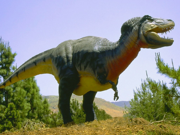 Обои картинки фото разное, рельефы, статуи, музейные, экспонаты