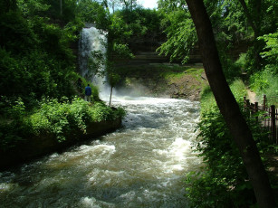 Картинка природа