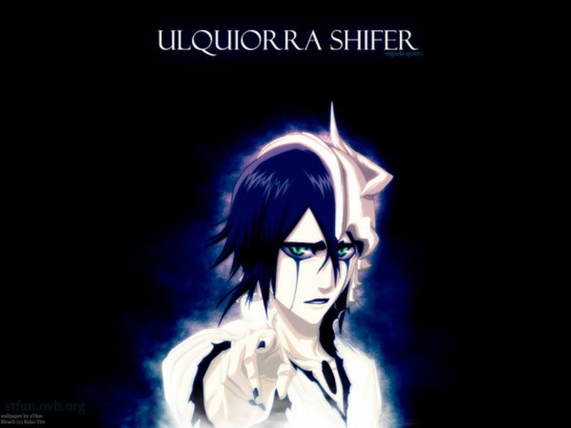 Обои картинки фото аниме, bleach