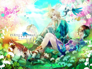 Картинка видео игры perfect world