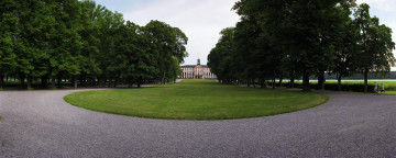 Картинка природа