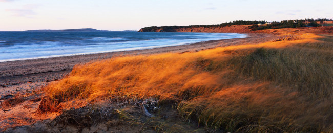 Обои картинки фото природа