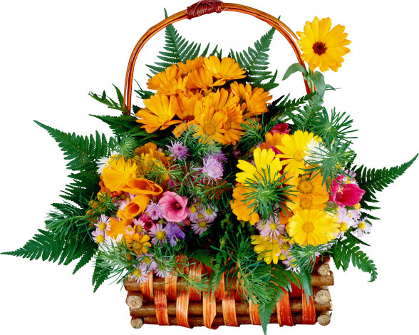 Обои картинки фото цветы, букеты, композиции, корзина