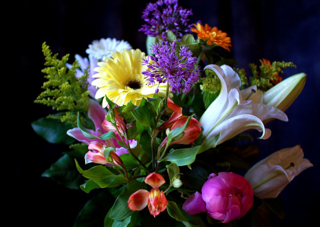 Обои картинки фото цветы, букеты, композиции, герберы, лилии, бутон