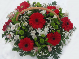 Картинка цветы букеты композиции букет орхидеи