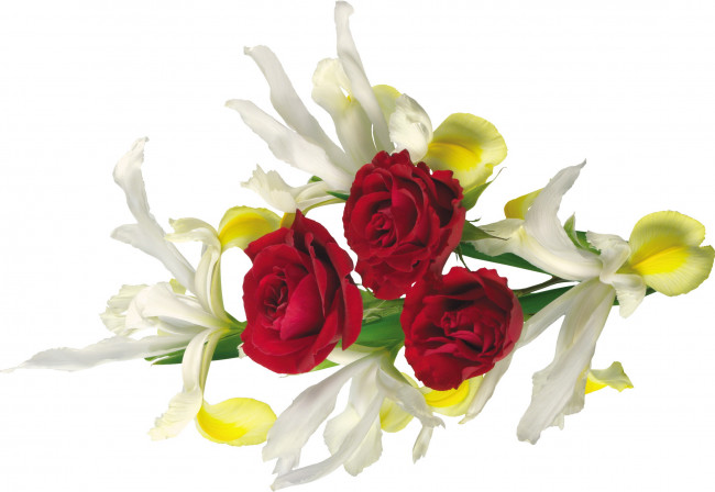 Обои картинки фото цветы, разные, вместе, лилии, розы