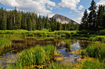 Картинка природа реки озера облака озеро горы лес