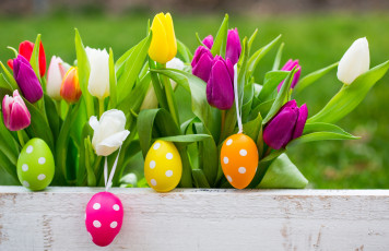 Картинка праздничные пасха яйца пасхальные easter happy