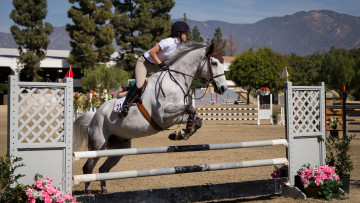Картинка спорт конный+спорт скачки всадник лошадь