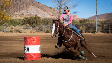 Картинка спорт конный+спорт скачки всадник лошадь