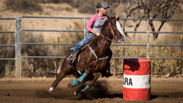 Картинка спорт конный+спорт всадник лошадь скачки