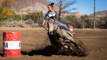 Картинка спорт конный+спорт всадник лошадь скачки