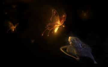 Картинка рисованное животные свет сияние бабочки крыса черный фон