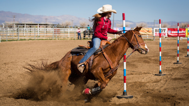 Обои картинки фото спорт, конный спорт, скачки, всадник, лошадь
