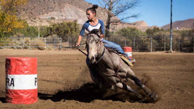Обои картинки фото спорт, конный спорт, всадник, лошадь, скачки