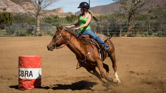 Обои картинки фото спорт, конный спорт, всадник, лошадь, скачки