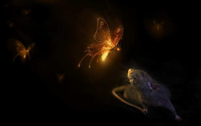 Обои картинки фото рисованное, животные, свет, сияние, бабочки, крыса, черный, фон