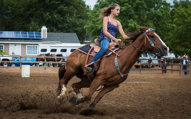 Обои картинки фото спорт, конный спорт, скачки, лошадь, всадник