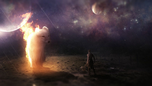 Обои картинки фото фэнтези, оборотни, волк, огонь, существо, огненный, песец, собака