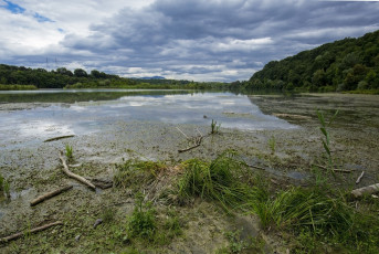 Картинка природа реки озера простор