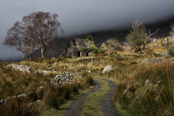 Картинка природа дороги простор