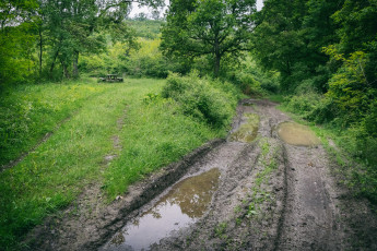 Картинка природа дороги простор