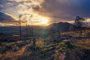 Картинка природа пейзажи простор