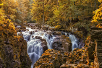 Картинка природа реки озера простор