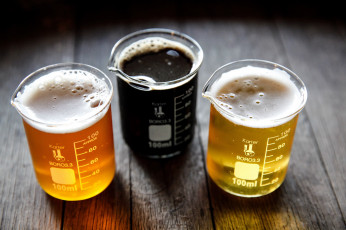 Картинка еда напитки +пиво ассорти пиво бокалы